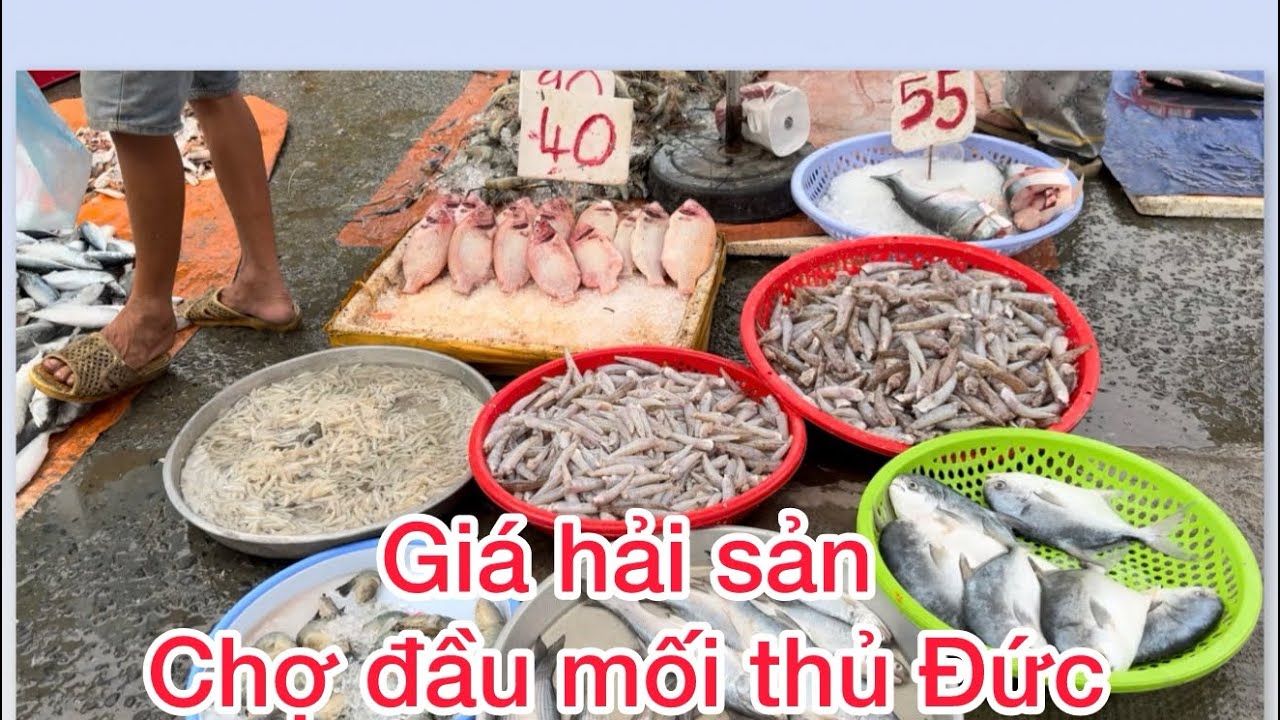 Chợ đầu mối thủ Đức cập Nhật giá hải sản bán lẻ hôm nay 