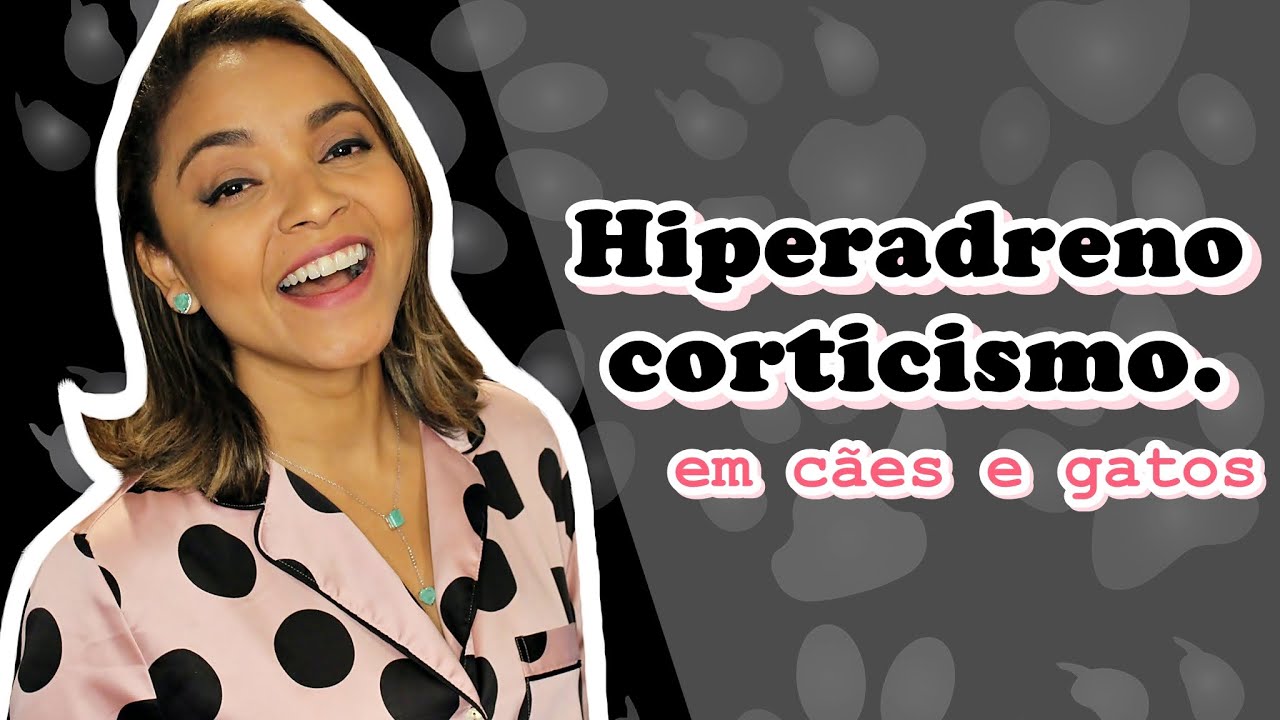 #HIPERADRENOCORTICISMO EM CÃES E GATOS.
