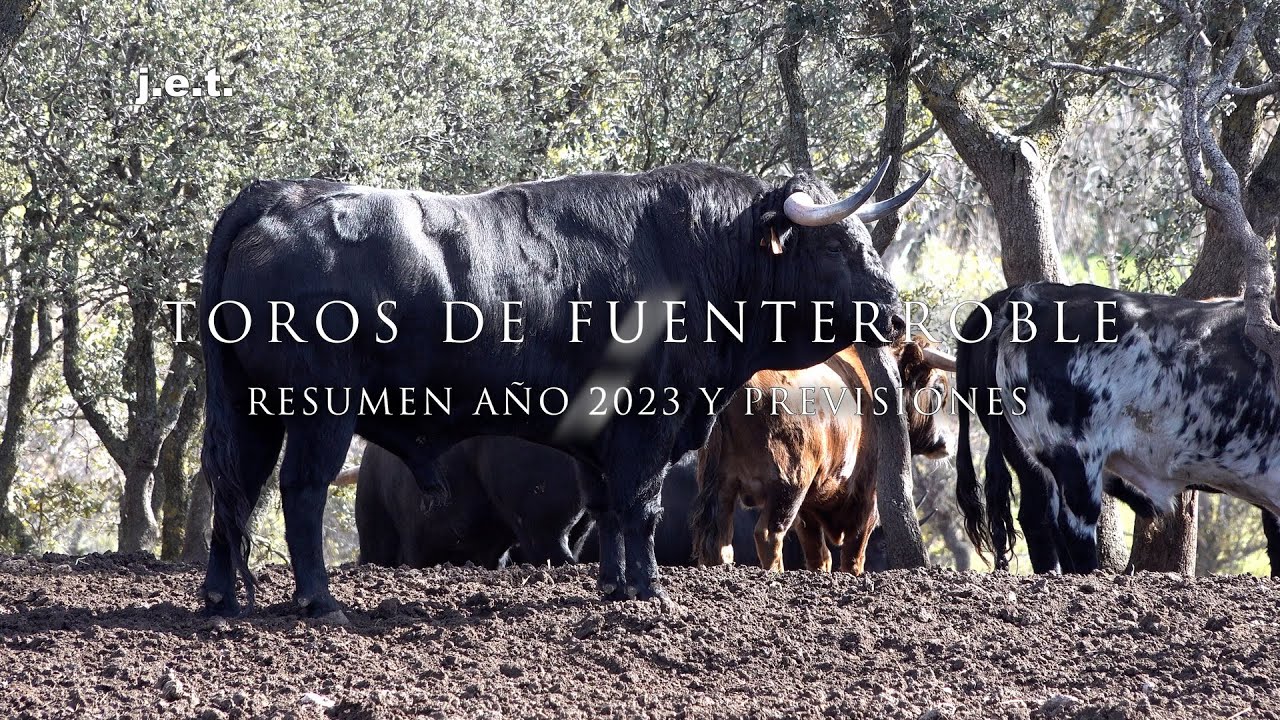 TOROS DE FUENTERROBLE, RESUMEN TEMPORADA 2023 Y PREVISIONES
