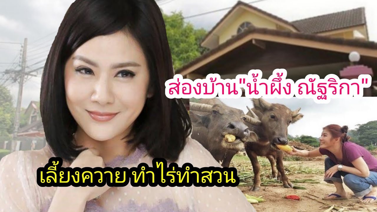 ส่องบ้าน