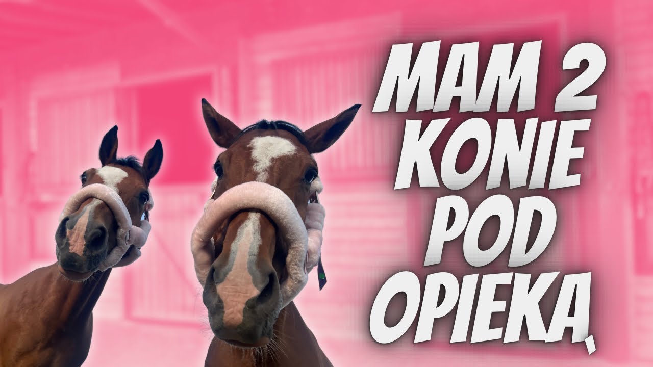 MAM DWA KONIE POD OPIEKĄ 🙈