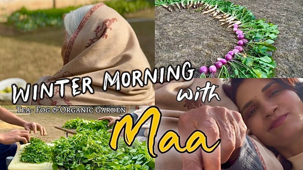 Maa, Home Garden🏡 & Winter in Pakistan🇵🇰 - From Foggy Morning🥶 to Sunny Afternoon🌞 