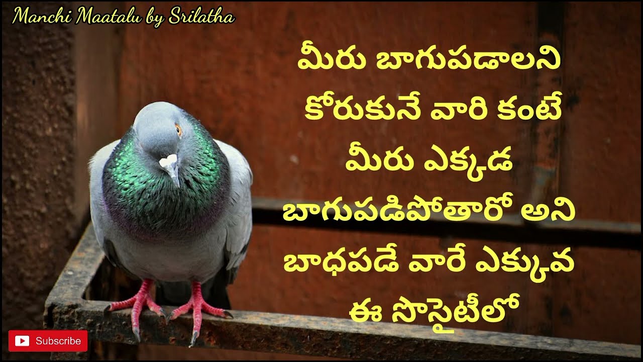 Life quotations|| famous quotation| Jeevitha satyalu|motivational quotes| Manchi matalu by Srilatha|