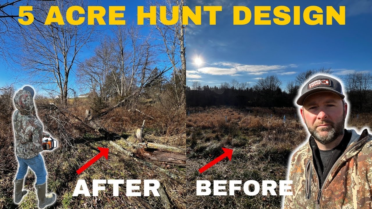 EPIC Small 5 Acre Hunting Property Design Transformation