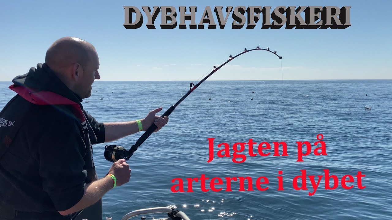 Dybhavsfiskeri - jagten på arterne i dybet