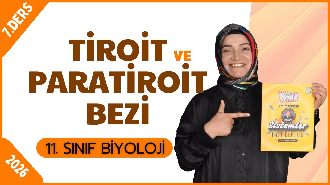 Tiroid Bezi ve Paratiroid Bezi Konu Anlatımı | 11.Sınıf Biyoloji | 2026 | Ücretsiz PDF