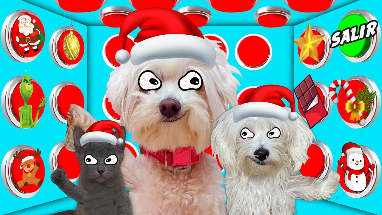 100 BOTONES MISTERIOSOS DE NAVIDAD y tan solo UNO PARA ESCAPAR versión PERROS Y GATOS !!