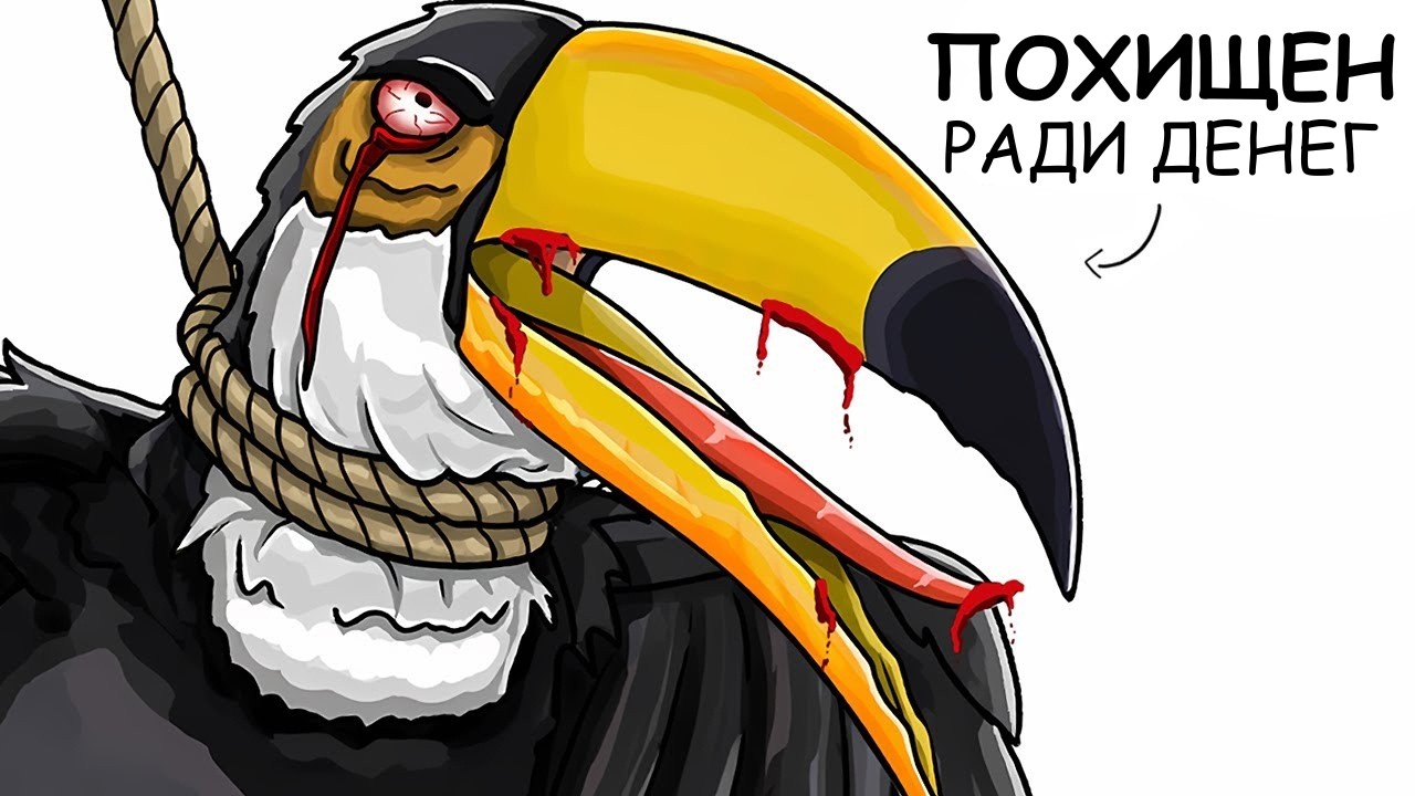 Ты – Тукан (И ЭТО ВСЯ ТВОЯ ЖИЗНЬ)