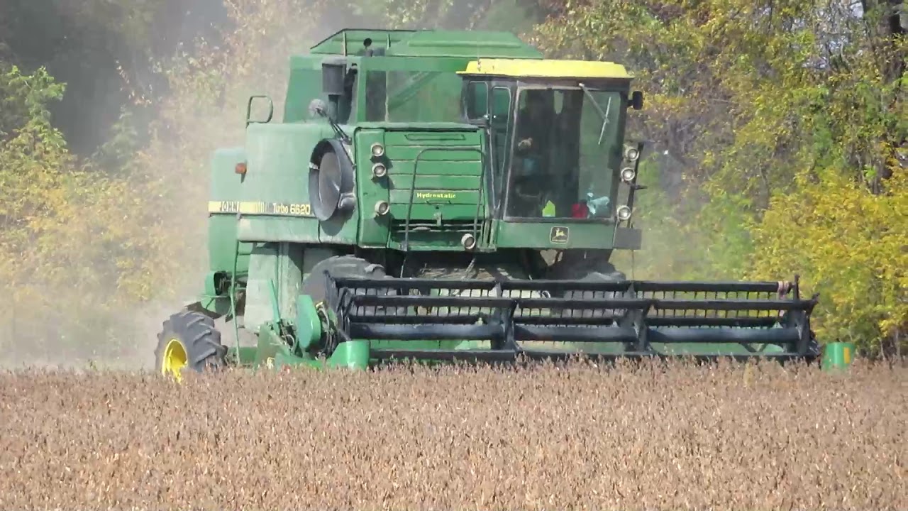 Harvest 2020 | John Deere 6620  Combine Harvesting Soybeans | Soybean Harvest 2020