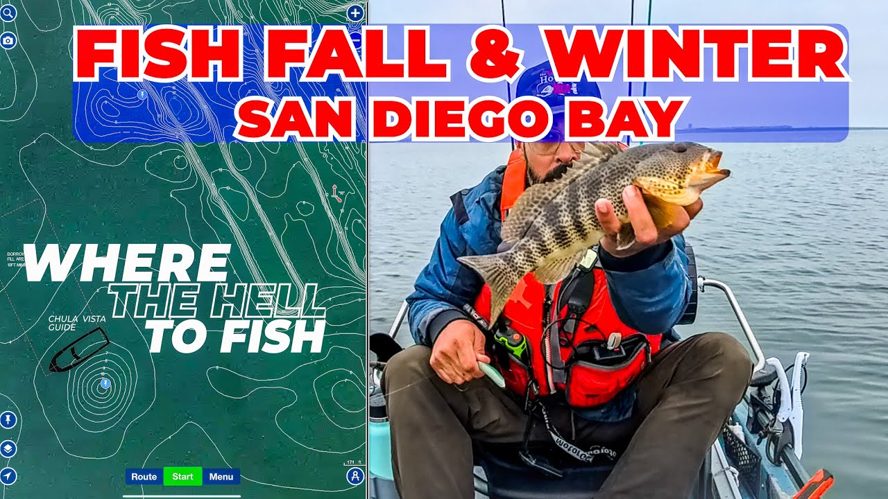 DON'T STAY HOME! FISH Fall & Winter in San Diego Bay