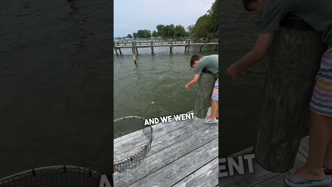 EASY way to catch crabs #chesapeakebay #crabbing #bluecrab