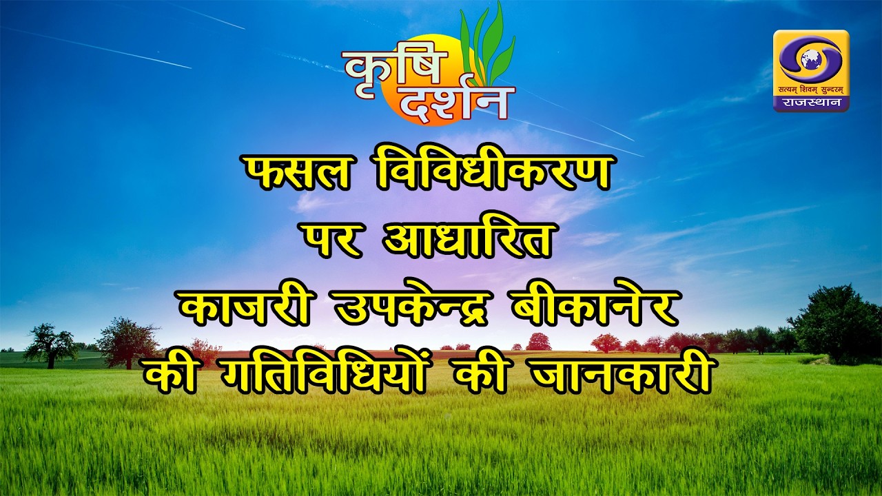 KRISHI DARSHAN || फसल विविधीकरण पर आधारित काजरी उपकेंद्र बीकानेर की गतिविधियों की जानकारी