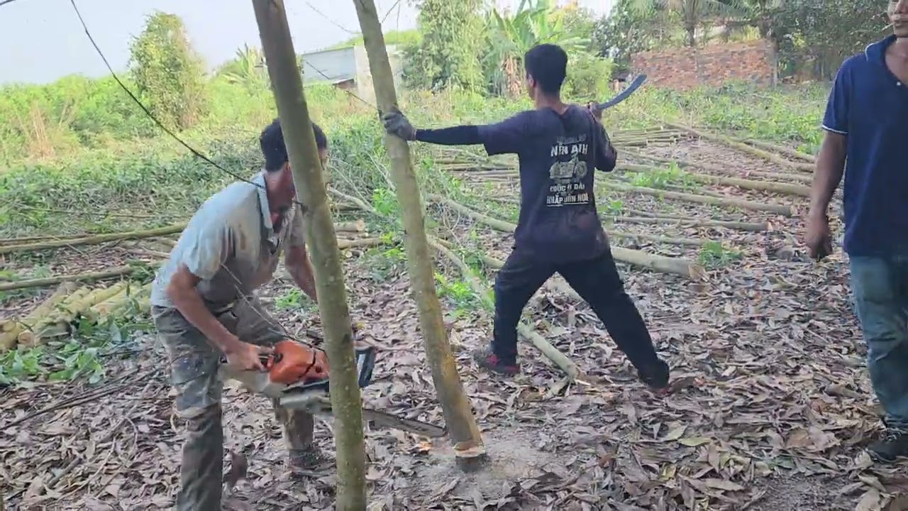 CƯA LÔ TRÀM 3 SÀO - THÔN 2- TRÀ TÂN - LÂM ĐỒNG , P CUỐI#