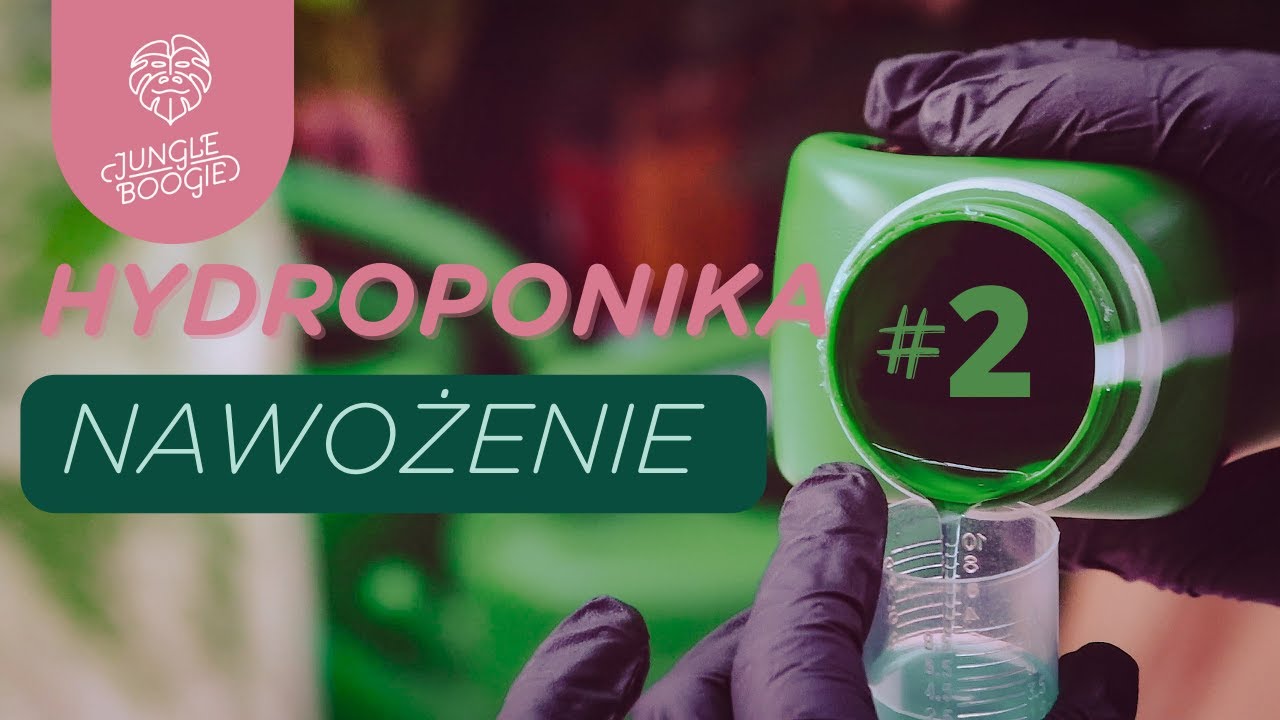 HYDROPONIKA #2 - przygotowujemy pożywkę dla rośliny | pomiar i regulacja pH i EC dla początkujących