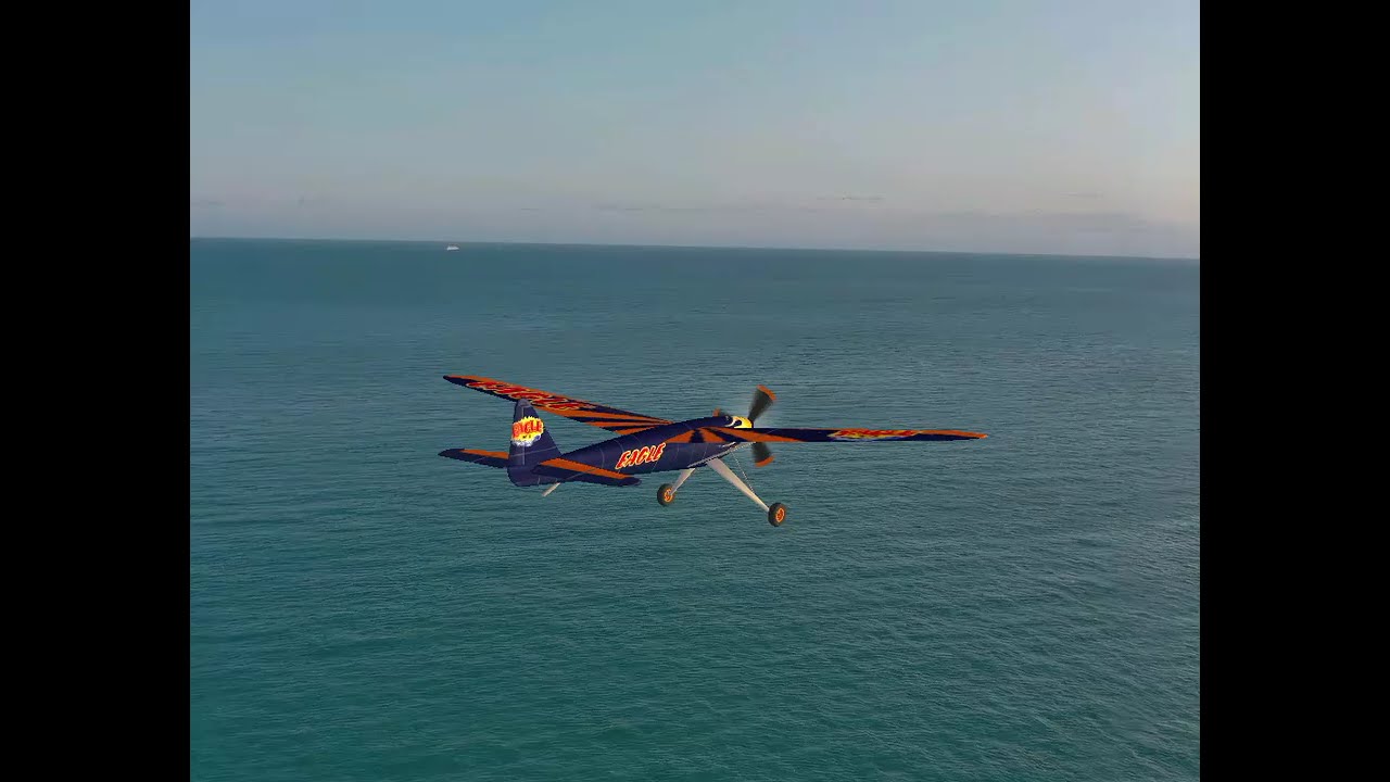 CB 14 Eagle skin