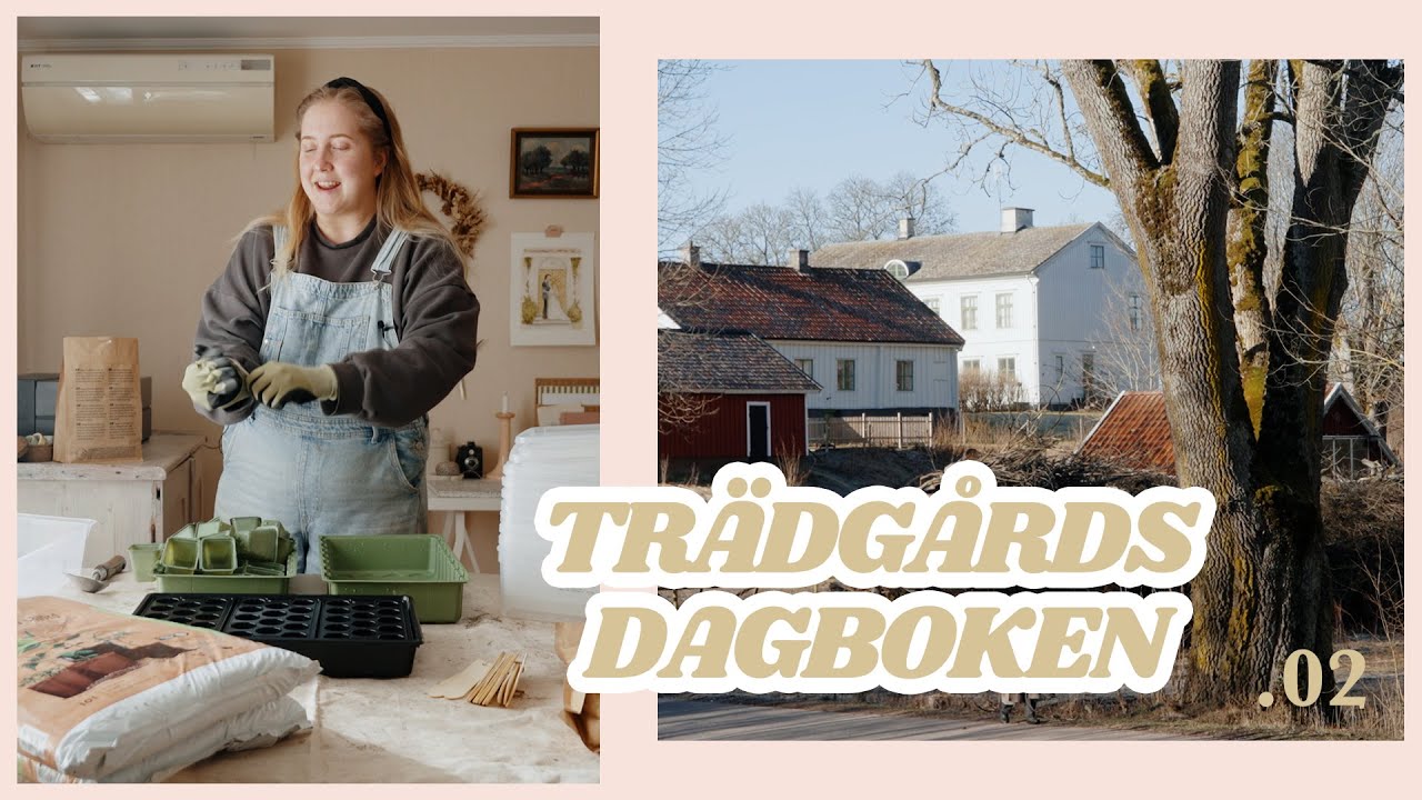 Första sådden & vårkänslorna ute på landet 🌱 | Trädgårdsdagboken .02