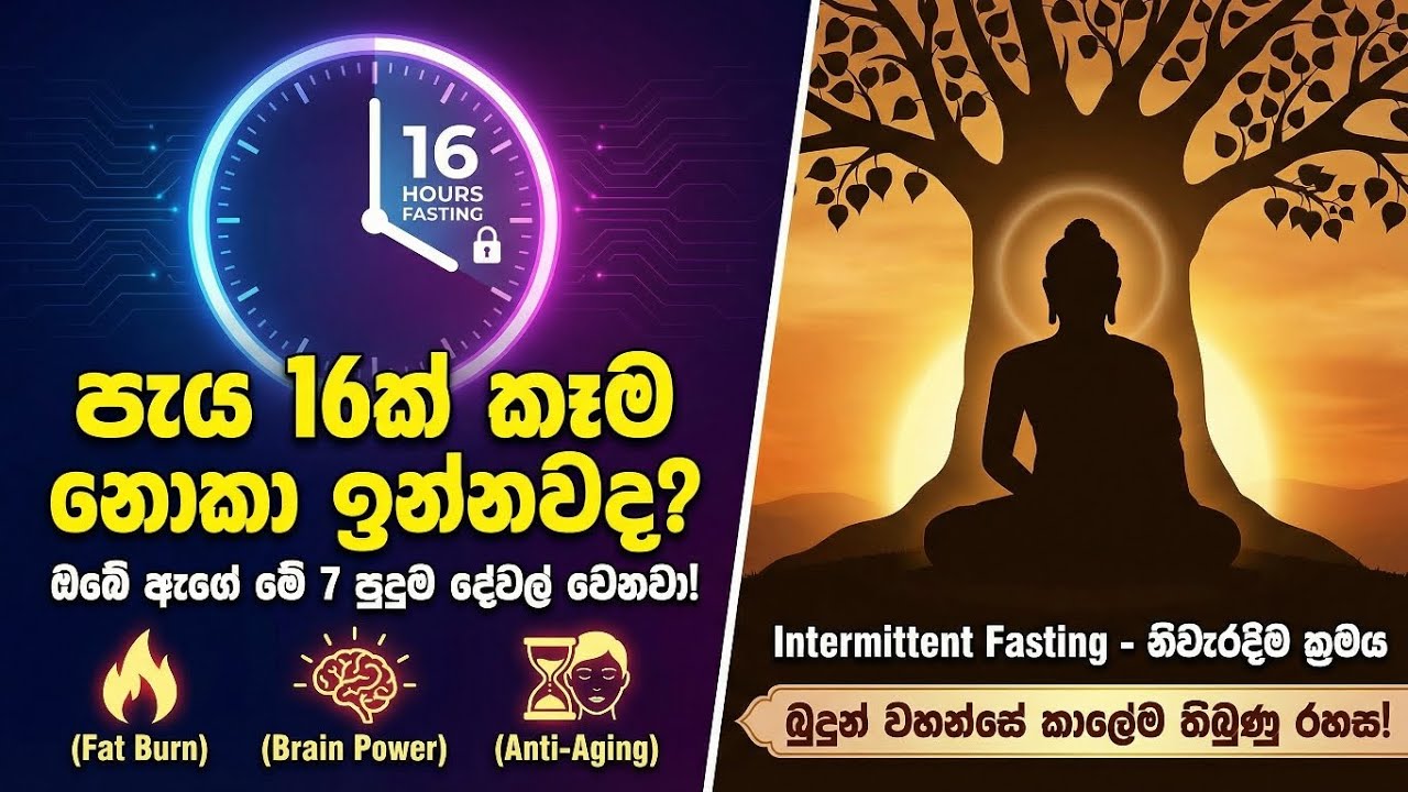 Intermittent Fasting නිවැරදිව කරන්නේ කොහොමද? | IF Benefits, Methods & Mistakes Sinhala - වෛද්‍යවරු 