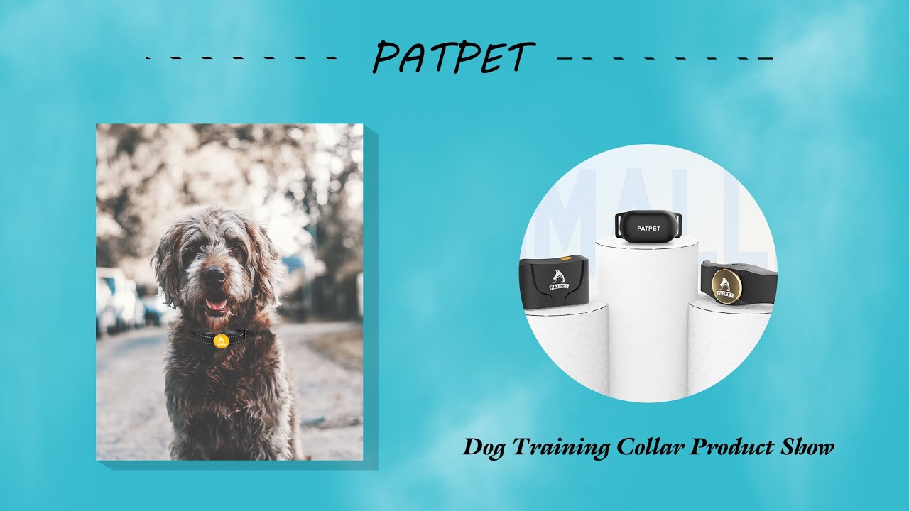 PATPET Dog Training Collar Product Show
