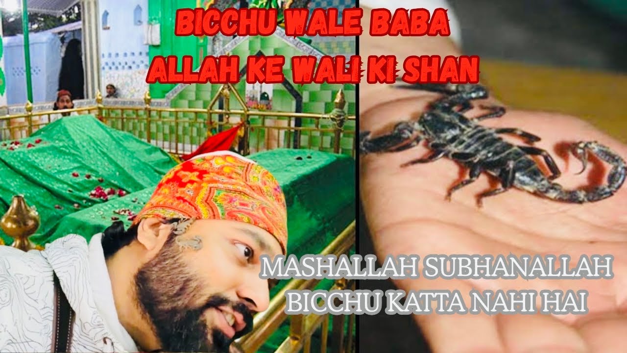 Shah Vilayat Bicchu Wale Baba #indiafirst #Vlog030 शाह विलायत बिच्छू वाले बाबा Amroha Dargah #naaz09