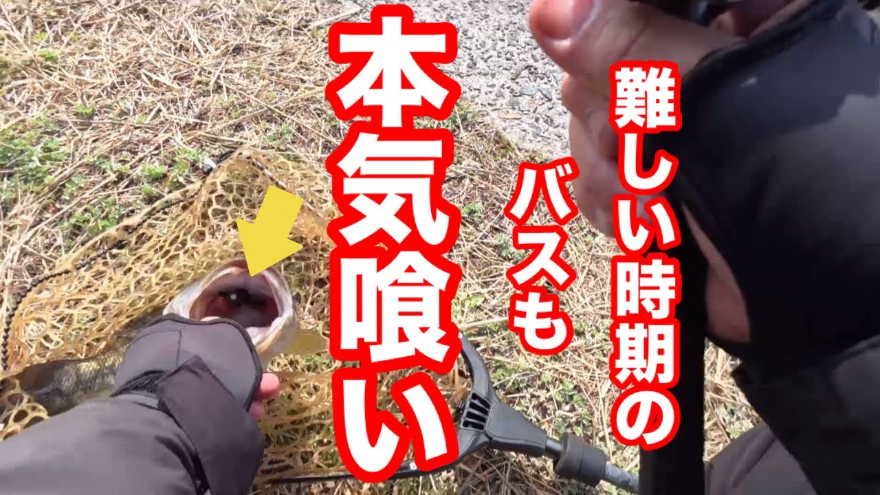 春に良い思いしたいなら試して欲しい コレまじでいいです