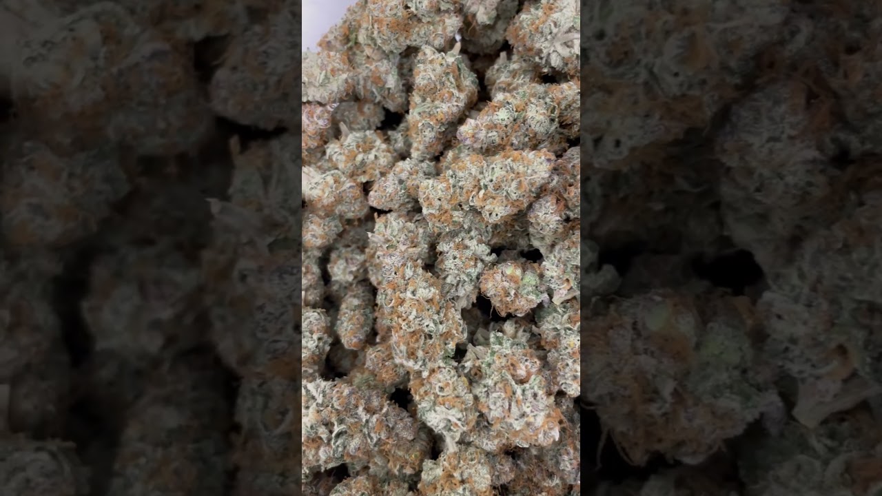 Living Soil Flowers♻️ #notillkings