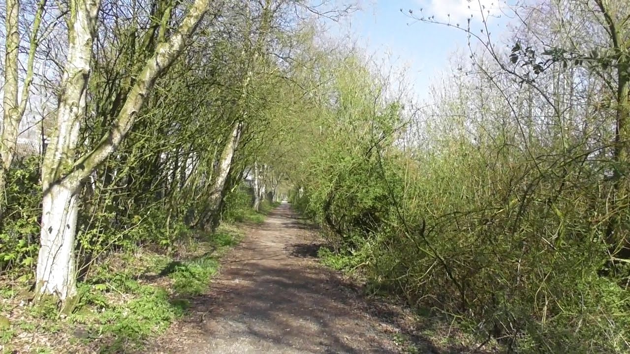 Norden (Ostfriesland): mit dem Rad von Bargebur zum Norder Tief [Apr 2019]