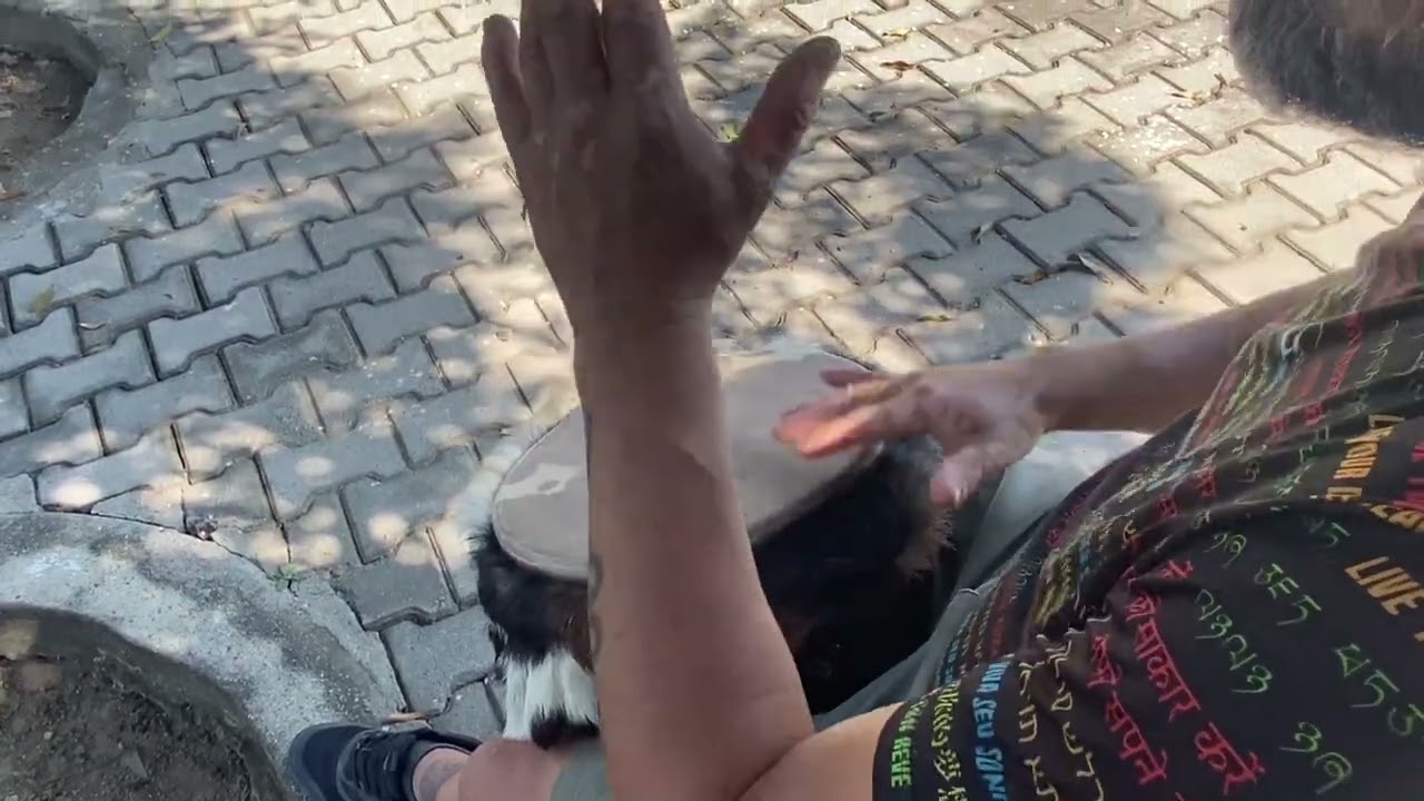 Kit básico 1