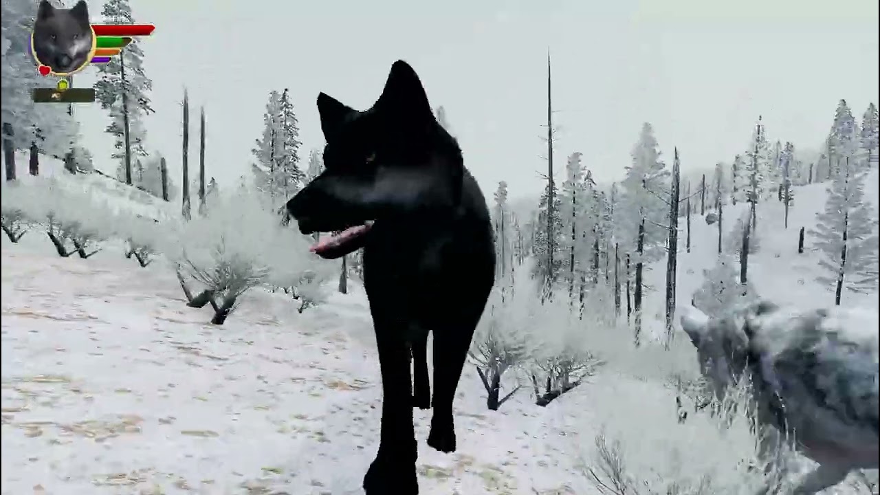 A Wolf's Pup Fight To Survive