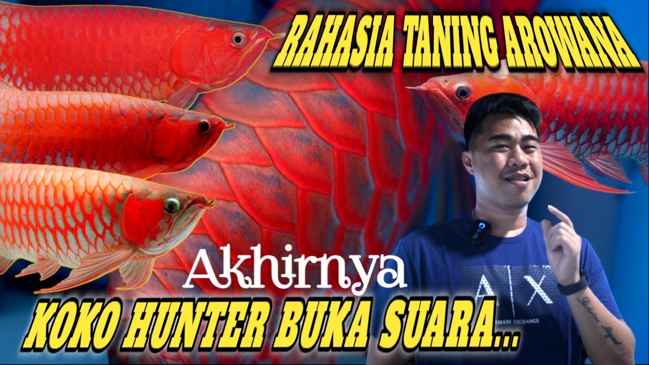 Kunci Keberhasilan 88REDGALLERY Dalam PERAWATAN & TANING  Sampai Siap Juara...
