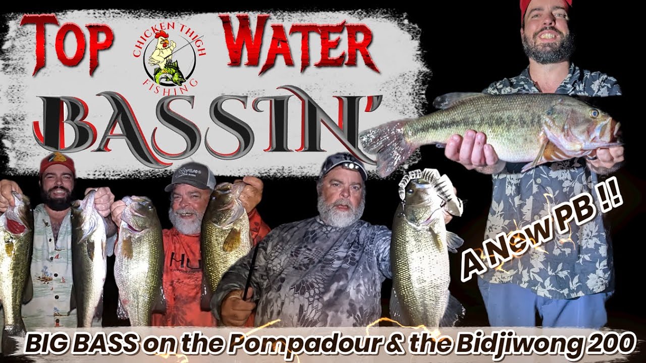 Top Water Bass Fishing at night with the Pompadour & the Bidjiwong #largemouthbass #bigbass