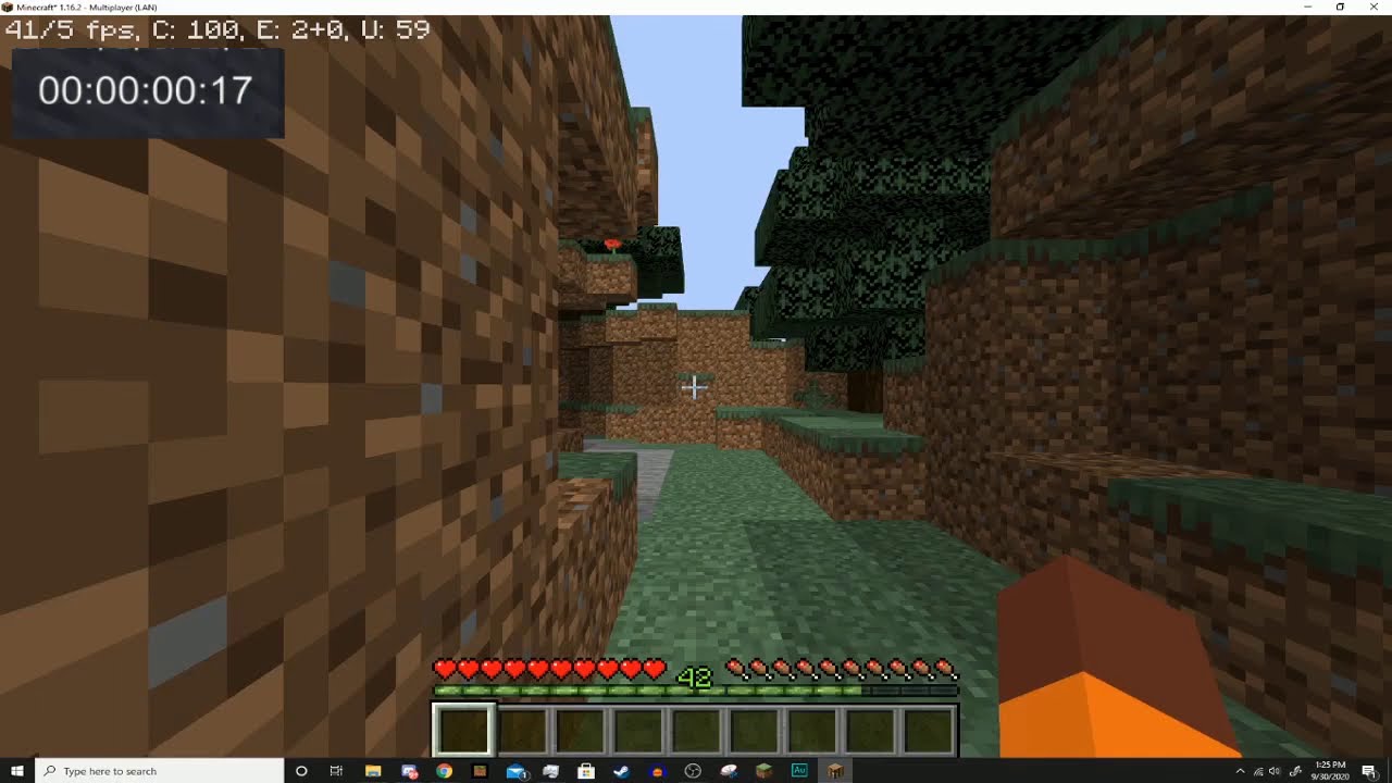 2020 Minecraft 1.16.3 Speedrun World Record