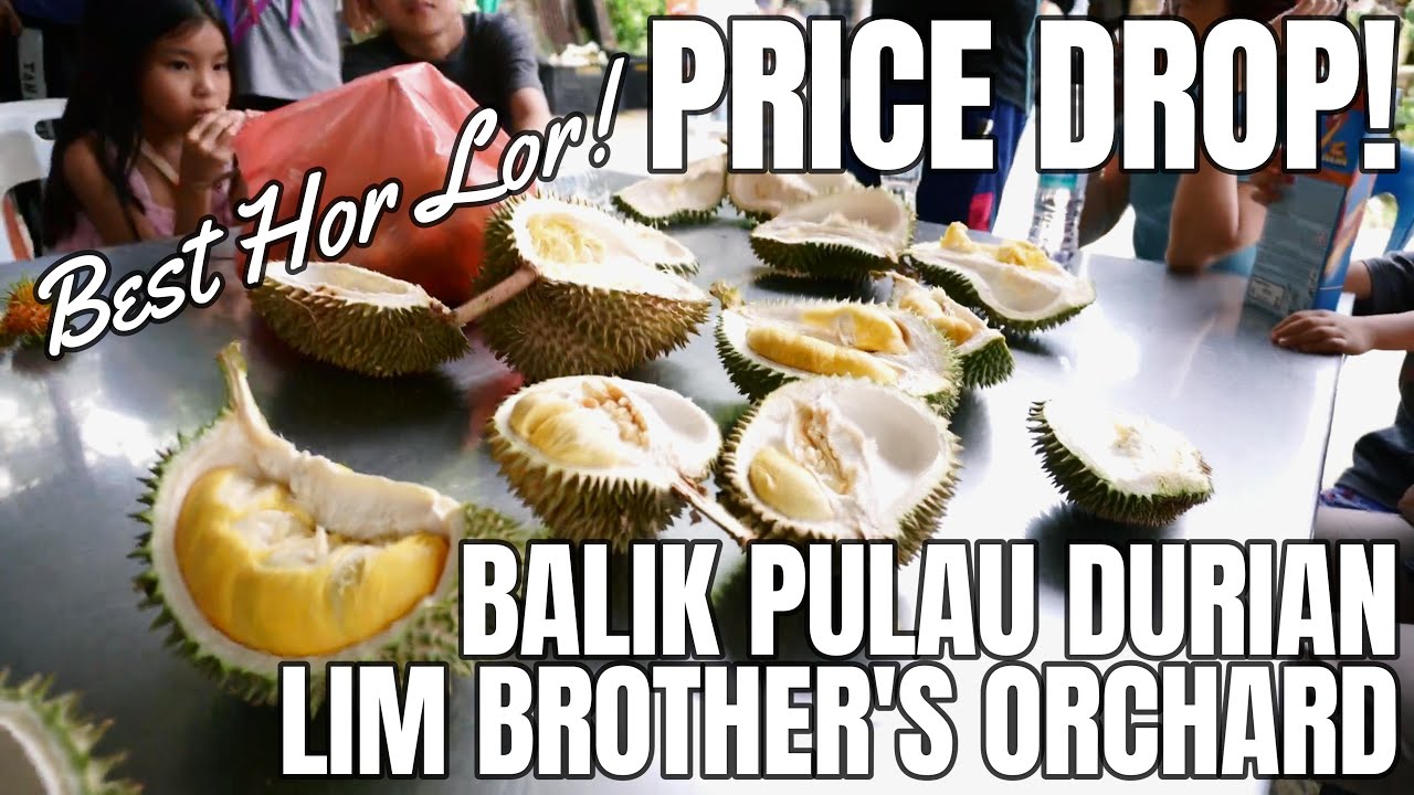 Lim Brothers Orchard 2024 visit, many varieties of durian, one of the best prices in Balik Pulau!
