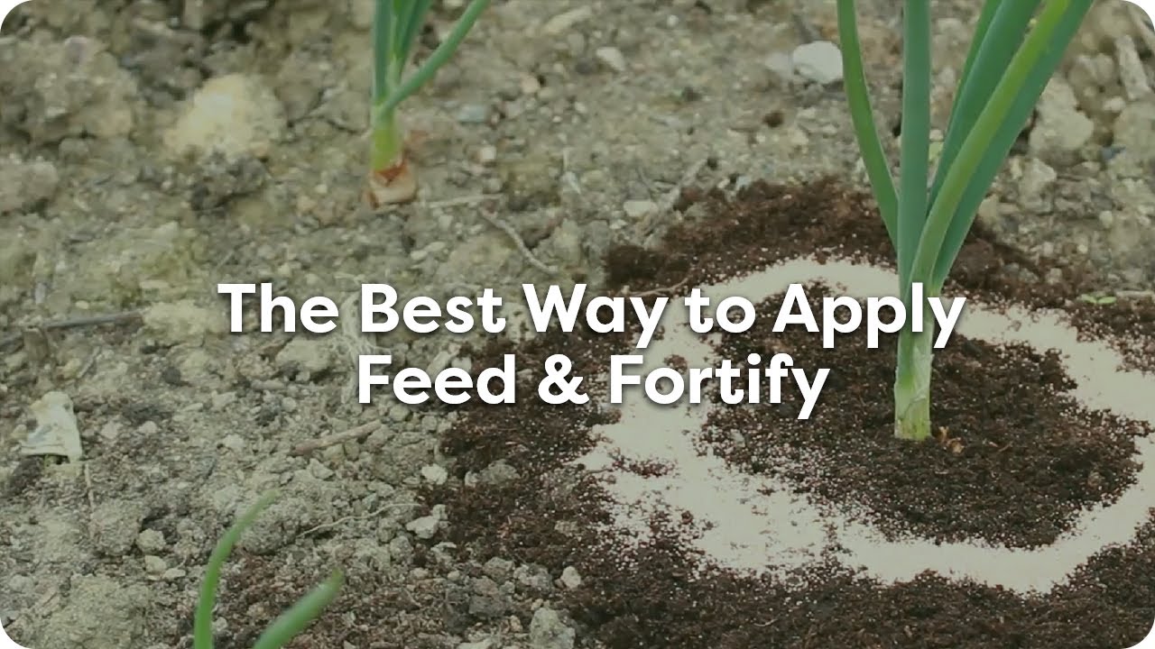Organic Gardening: How To Get Rid of Slugs and Snails with Envii Feed & Fortify