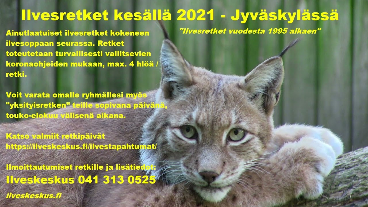 Ilvesretket kes&auml; 2021, Jyv&auml;skyl&auml;ss&auml;