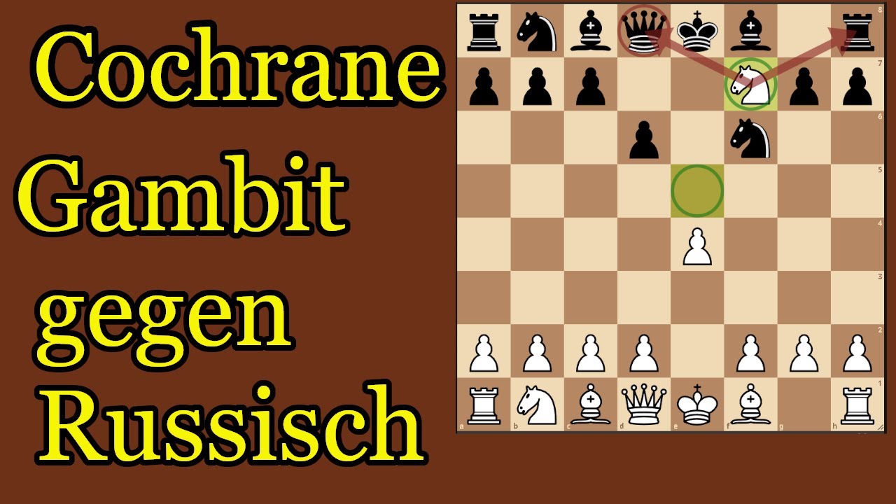 Cochrane Gambit ! Überrasche Deinen Gegner mit einem Springeropfer
