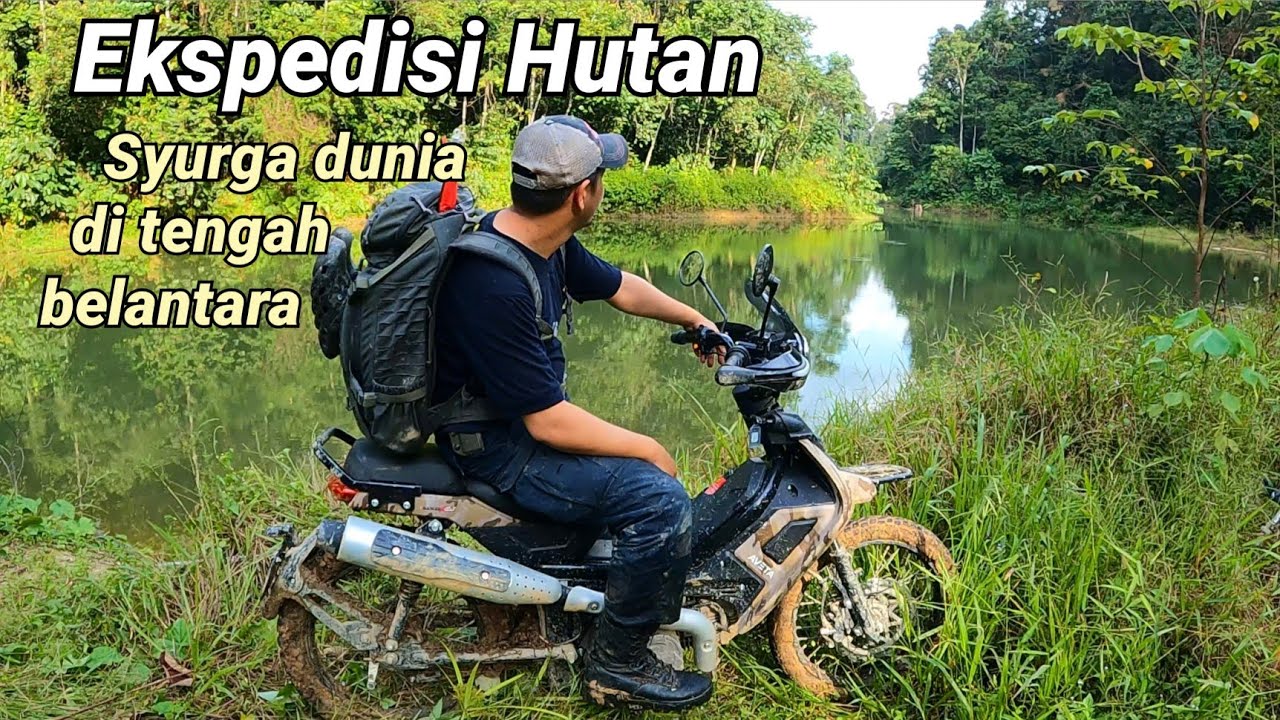 Ekspedisi Hutan | Syurga di tengah belantara.