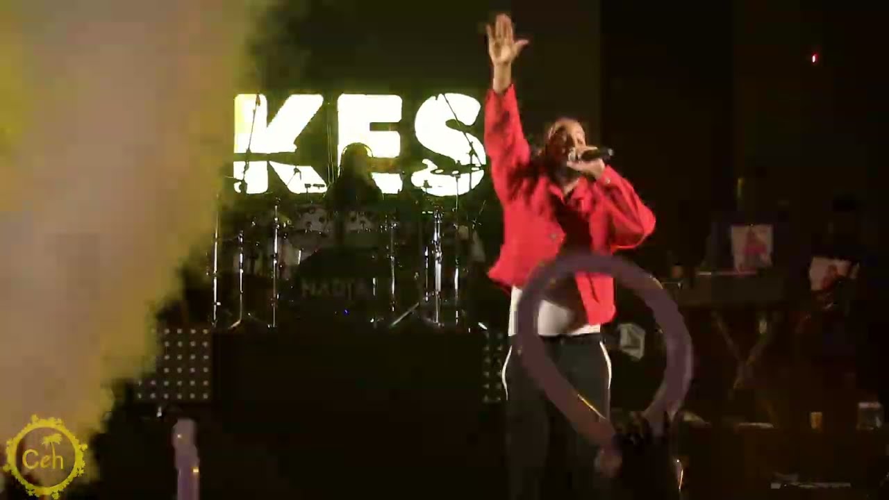 Kes at Artform 2026