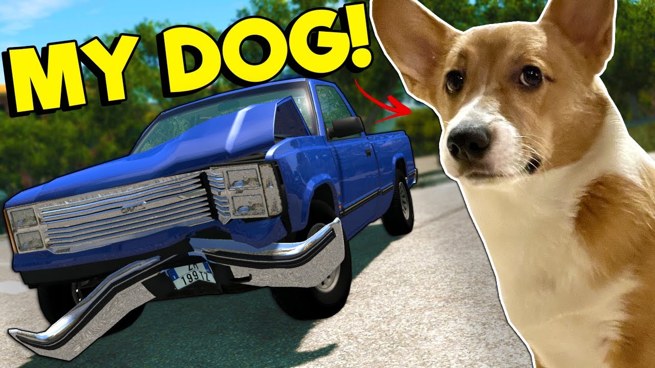 I Tried to Teach My Corgi How to Play BeamNG?!