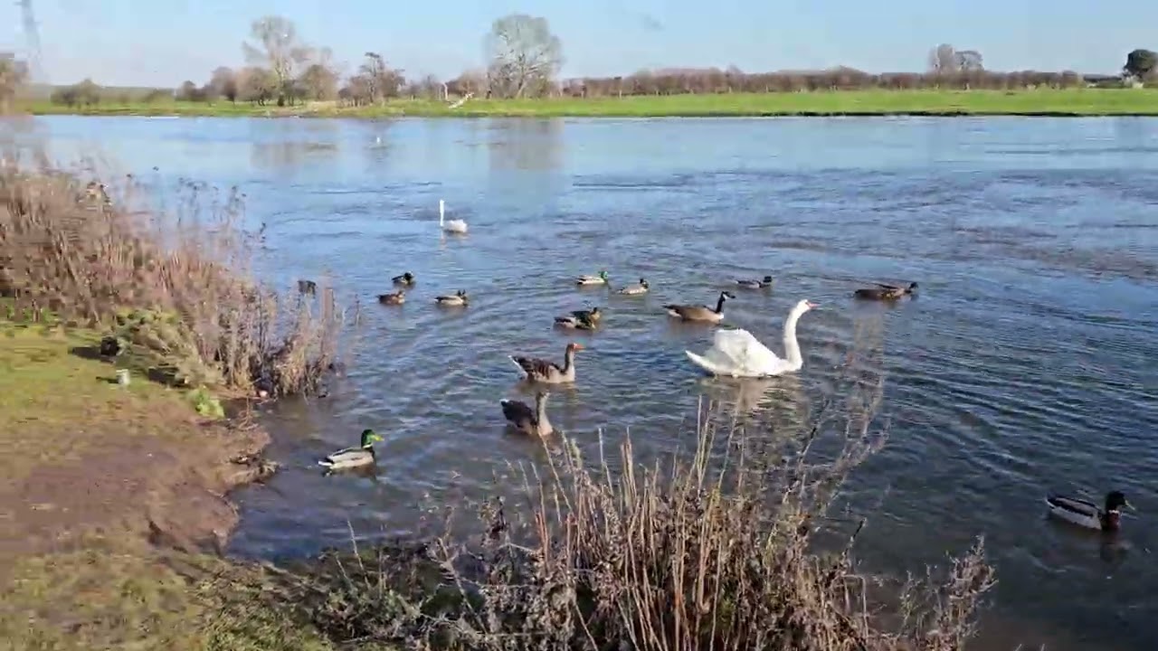 Time with nature and its friends! 