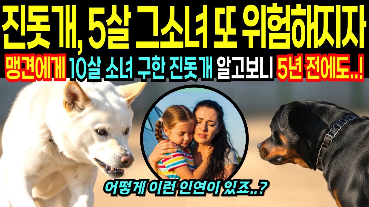 한국 진돗개 10살 소녀 공격하는 맹견 제압, 알고 보니 처음이 아니었다 마을 전체 충격 [해외감동사연]