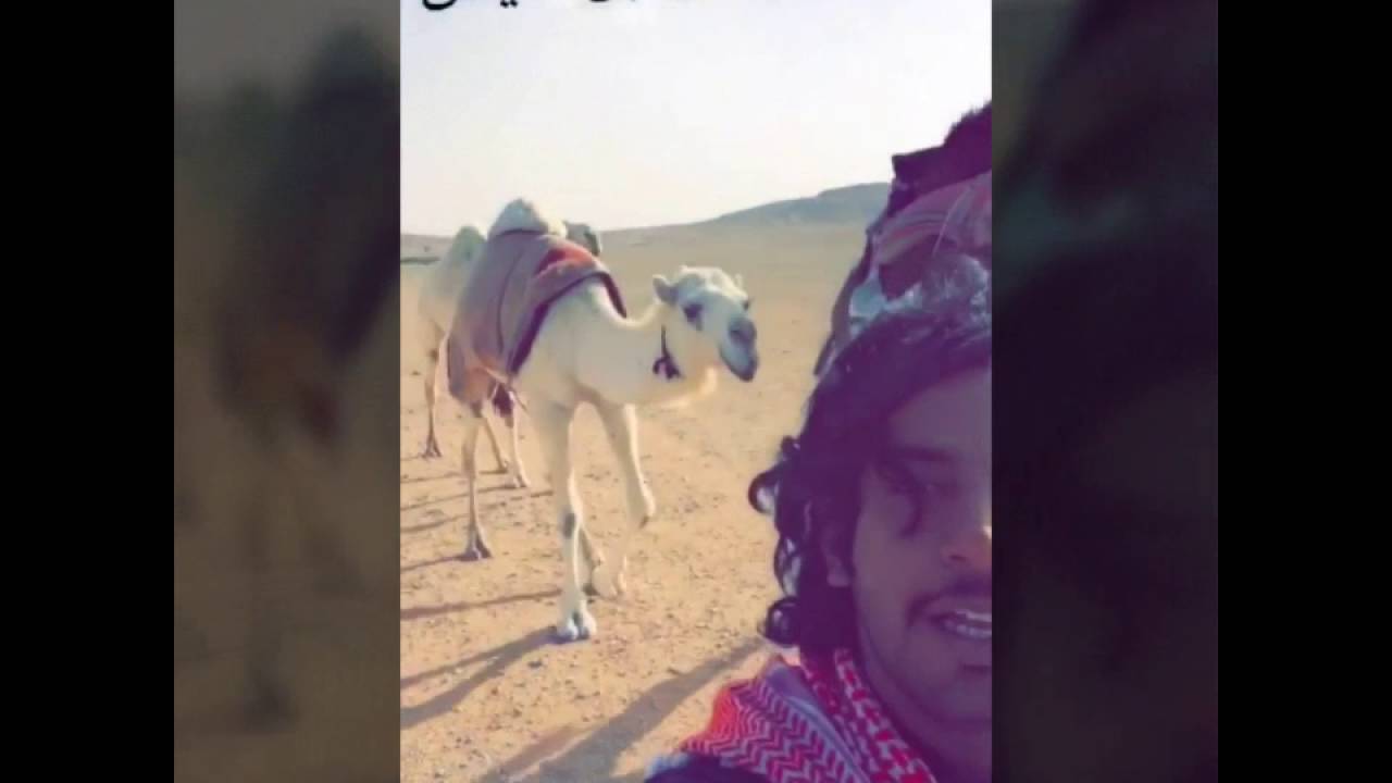 عبد العزيز الموسمي
