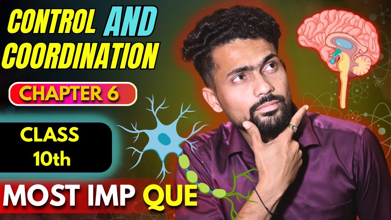 Control and Coordination One Shot | Class 10 Science Chapter 6 | Full Chapter Revision 🚀