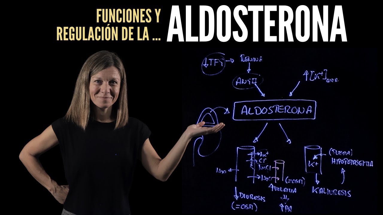 Aldosterona: funciones y regulación
