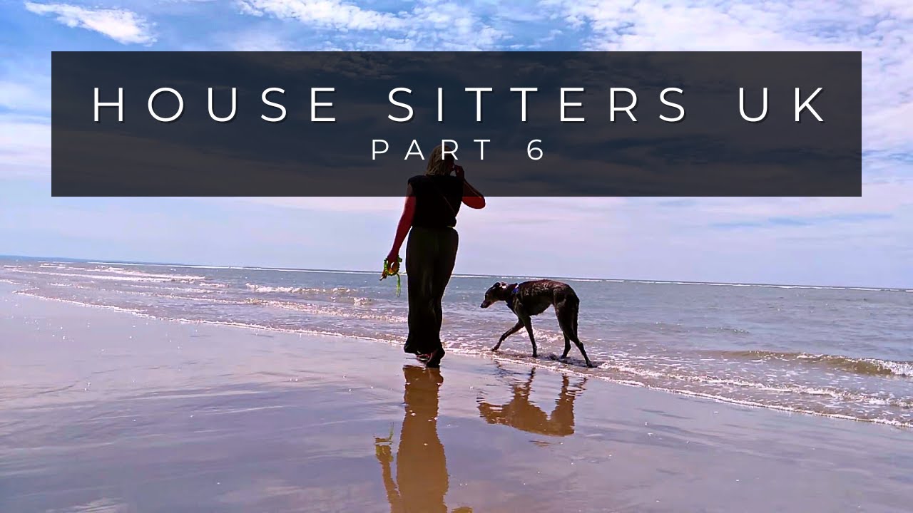 House Sitters UK / Campervan Travels / EP 6 - Summertime