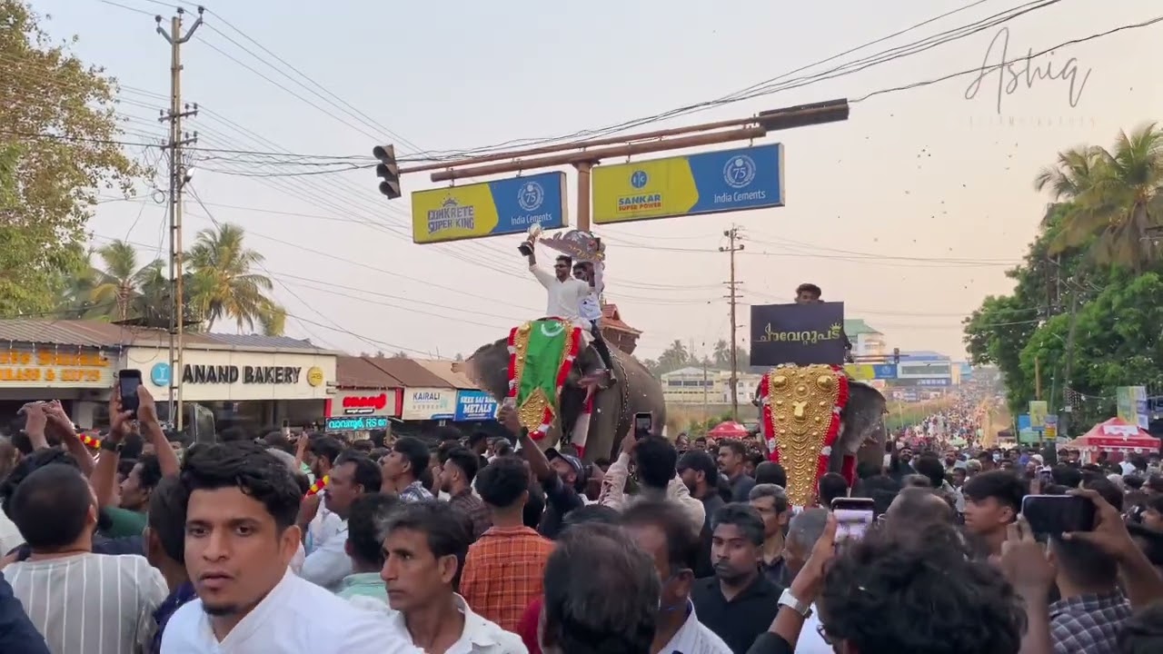 Pattambi Nercha 2024 | Part 1 | 4K Quality Video | #festival #elephant #pattambinercha