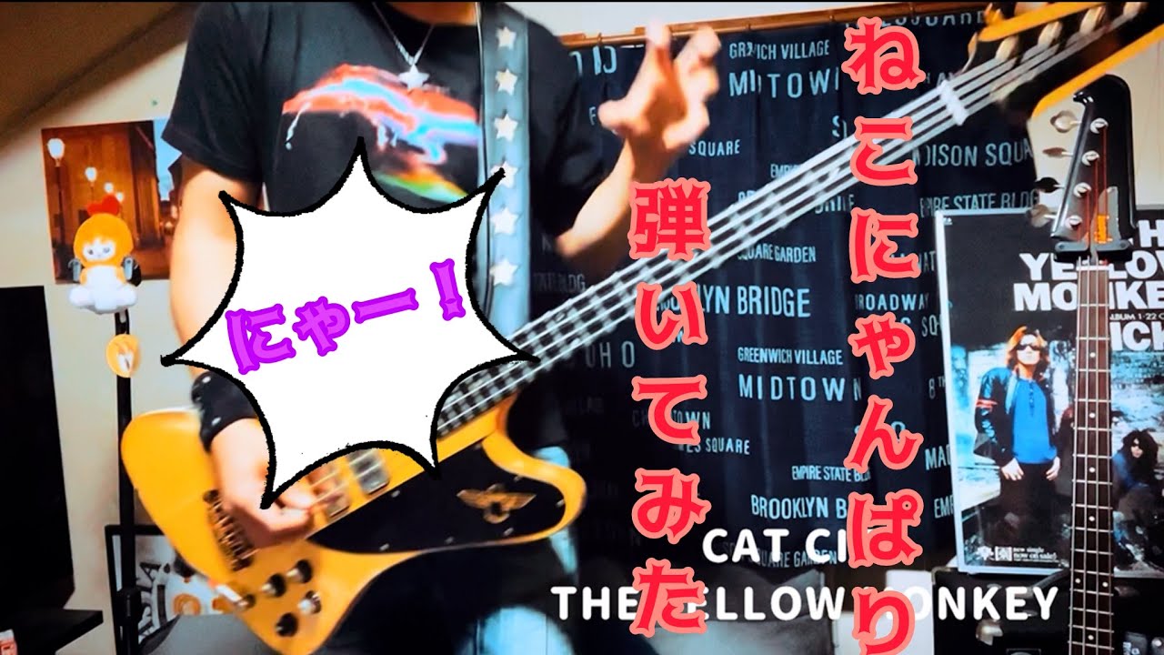 CAT CITY【THE YELLOW MONKEY】ベース弾いてみた