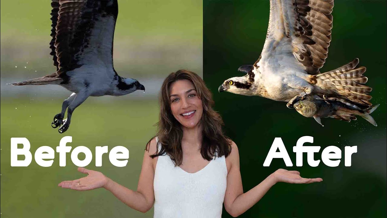 6 Secrets for AMAZING Wildlife photos (without spending money)