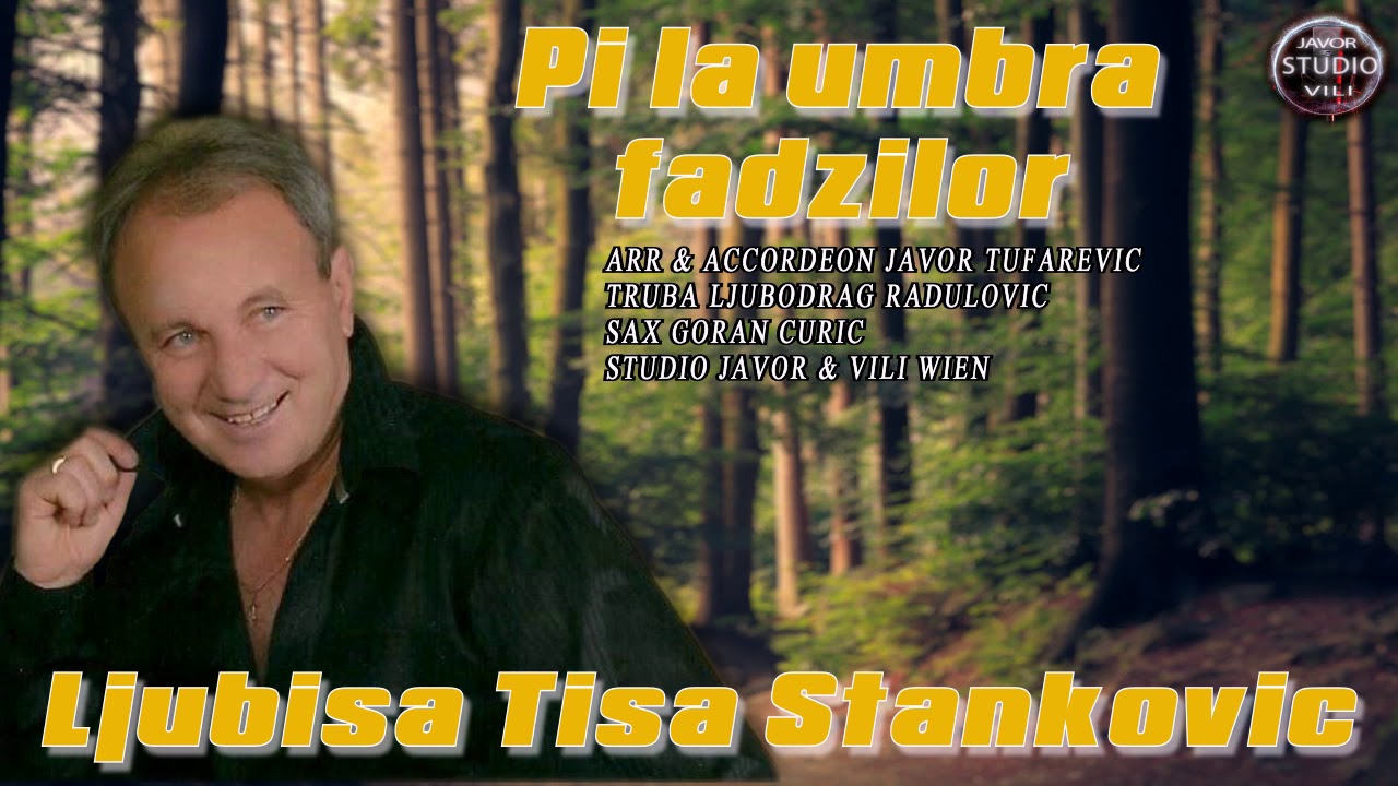Ljubisa Tisa Stankovic // PI LA UMBRA FADZILOR