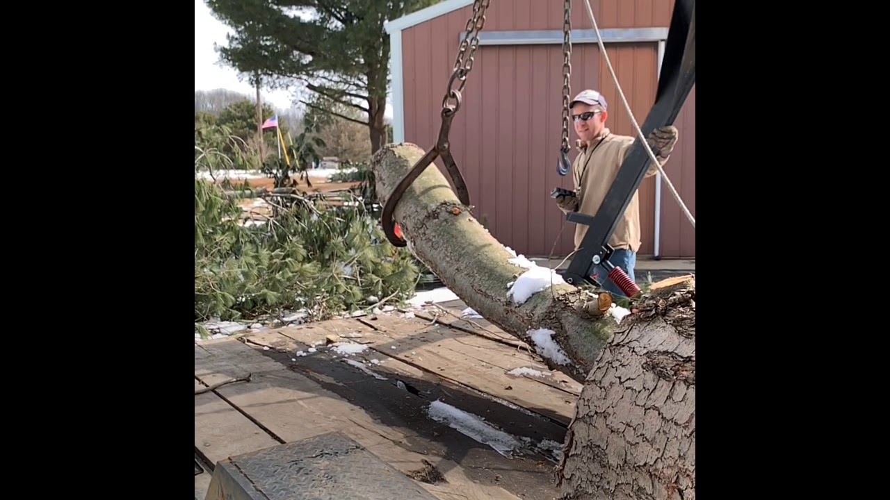 Custom Trailer & Logging Arch