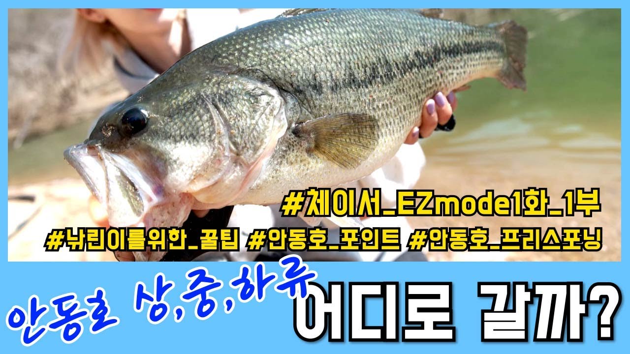 [체이서 EZ 01_1]요즘 핫한 안동호 5짜 배스는 어디에